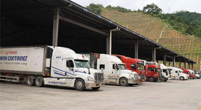 Perdagangan Buah-buahan Antara China, ASEAN Berkembang Maju